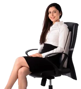 Vissco smart back rest