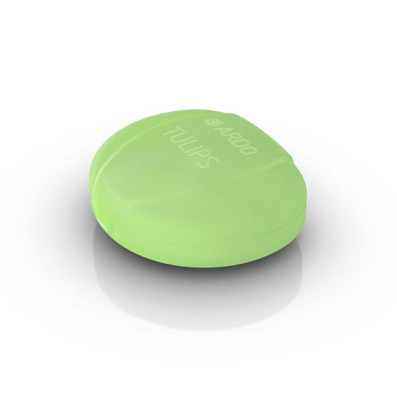 Tulips Box Tulips Box