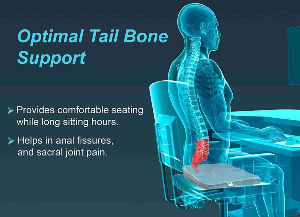best seat cushion for spinal stenosis