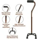 Walking Stick WS-121 Bronze - Karma (4)