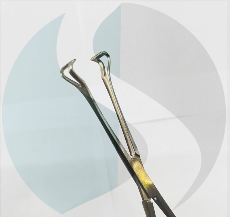 WhatsApp Image 2024-06-27 at 2.02.37 PM WhatsApp Image 2024-06-27 at 2.02.37 PM