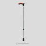 Walking Stick (With Silicone Pad)