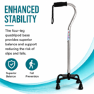 Four-Leg Walking Stick