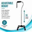 Four-Leg Walking Stick