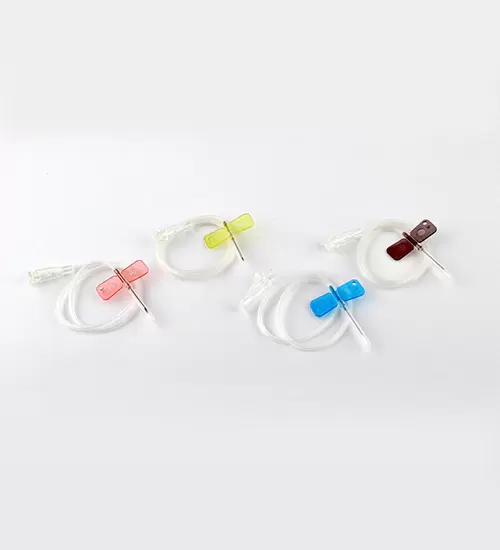 IMG_6674-2-1 IMG_6674-2-1