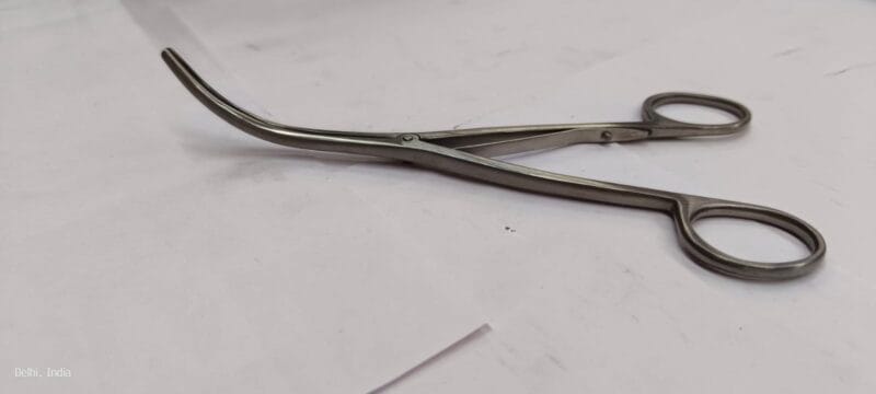 WhatsApp Image 2023-11-10 at 1.51.31 PM WhatsApp Image 2023-11-10 at 1.51.31 PM