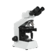 new_project_31_
