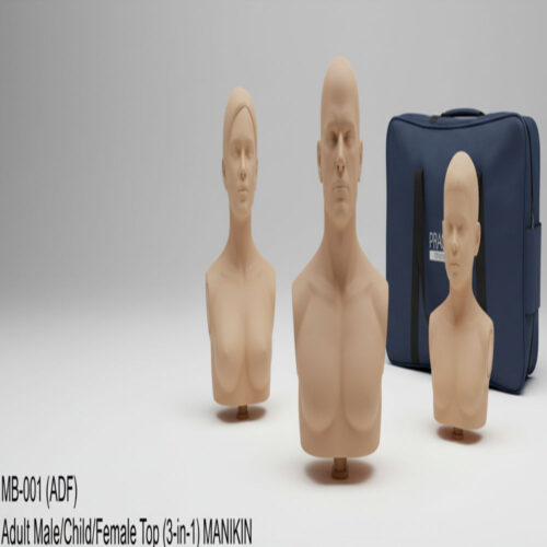 Adult Male/Child/Female Top (3 in 1)MANIKIN